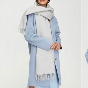 Aritzia 100% Wool Scarf